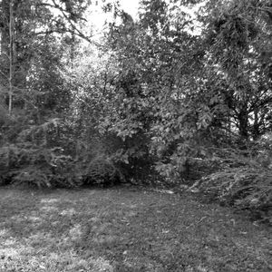 Deals... bundle and save